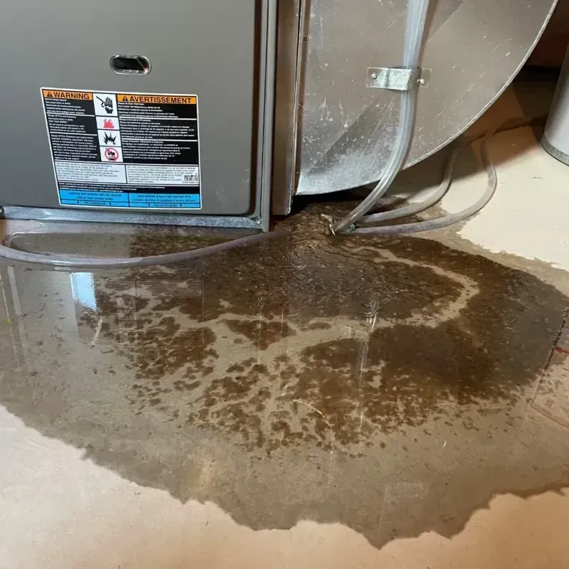 Appliance Leak Cleanup in Johnsonville, TN